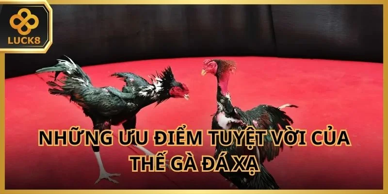nhung-uu-diem-cua-the-ga-da-xa